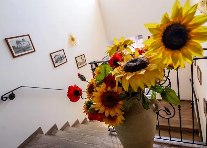 Nonis San Vito al Tagliamento